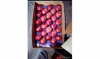 APPLE PREMIUM A1 GRADE