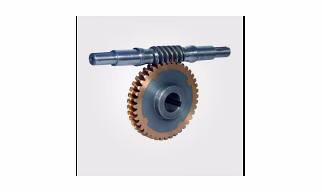 Worm shafts
