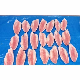 frozen iqf farm raised tilapia fillets