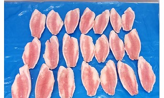 FROZEN IQF FARM RAISED TILAPIA FILLETS
