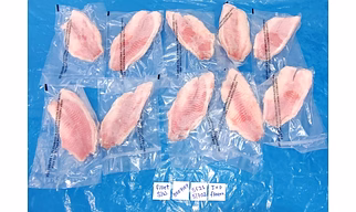 FROZEN IVP FARM RAISED TILAPIA FILLETS
