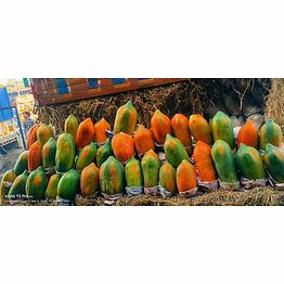 international papaya