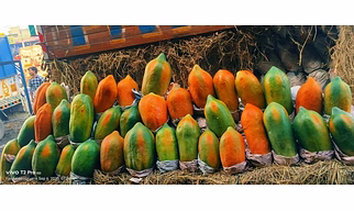 INTERNATIONAL PAPAYA