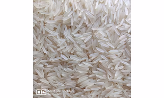 1401 Creamy Sella Basmati Rice