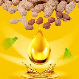 groundnut oil