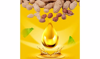 Groundnut Oil