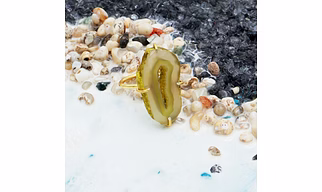 Dua Yellow Agate Gold-Plated Adjustable Ring – Contemporary Natural Stone Jewelry for Women