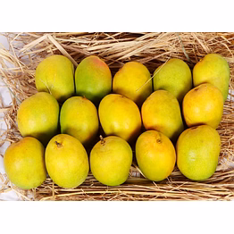necar nexus overseas premium valsadi alphonso (haafus) mangoes – the king of mangoes