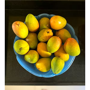 Premium Valsadi Alphonso (Haafus) Mangoes – The King of Mangoes
