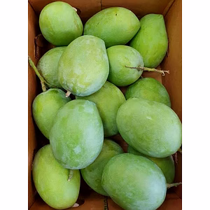 Authentic Valsadi Rajapuri Mangoes – Creamy, Aromatic & Rich