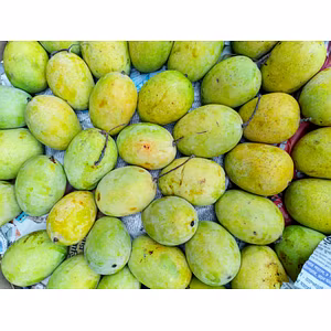 Fresh Langra Mangoes – Green-Skinned, Sweet & Aromatic