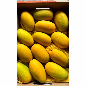 Golden Dasheri Mangoes – Pure Taste of Indian Summer