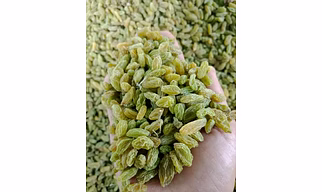 Premium Green Raisins (Kishmish) – Naturally Sweet & Nutritious