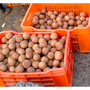 Fresh Sapota (Chikoo) from Valsad & Navsari, Gujarat | GI-Tagged Premium Indian Chikoo