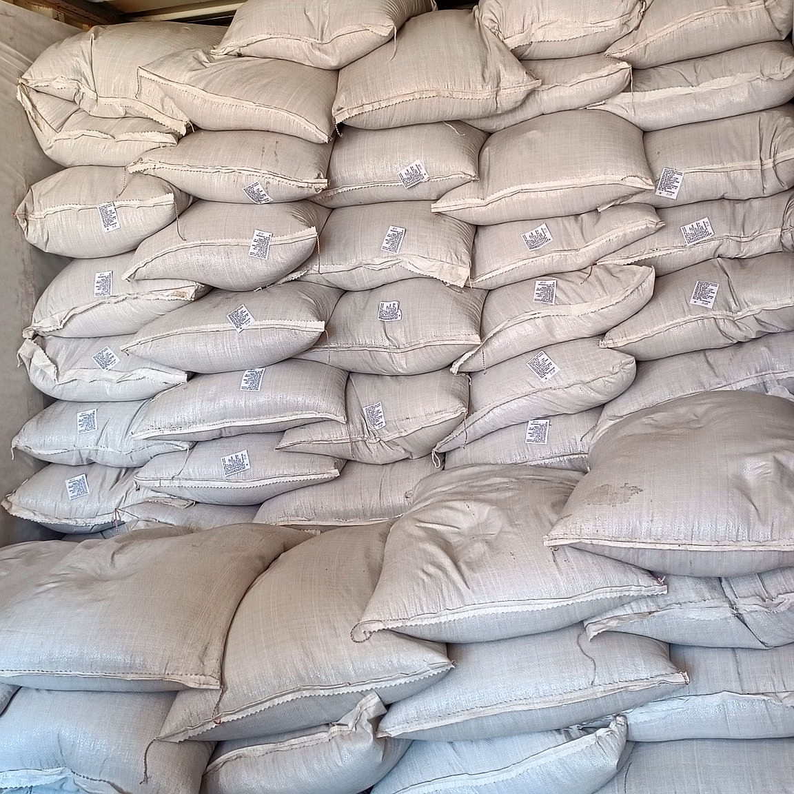 Cumin Ceed image 4