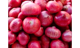 Fresh Onions