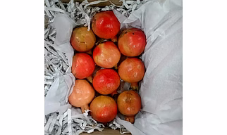 Fresh pomegranates