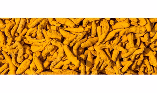 Dry Turmeric fingers