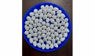 SIG FAKE EGGS