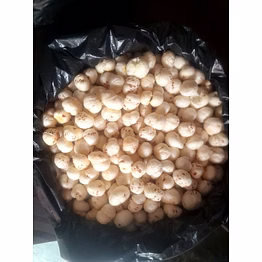 makhana