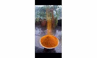 Turmeric Powder
