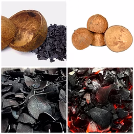 coconut shell charcoal