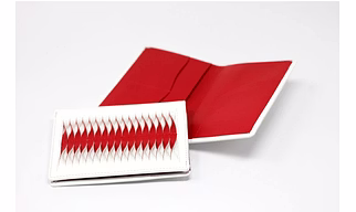 Passport wallet