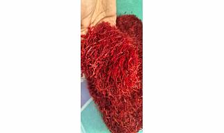 Kashmiri mogra saffron