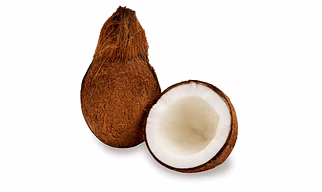 POLLACHI SEMI HUSKED COCONUTS A GRADE