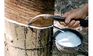 NATURAL RUBBER