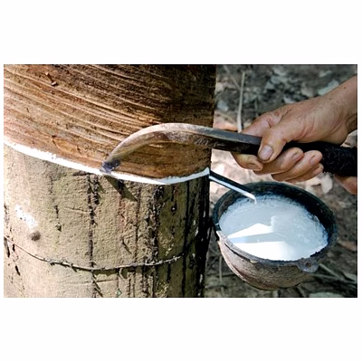 natural rubber