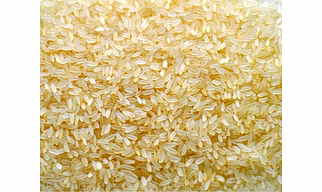 NON-BASMATI RICE