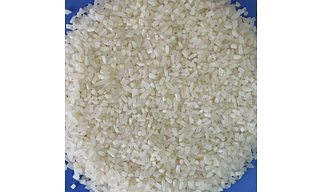 BROKEN RICE SORTEX