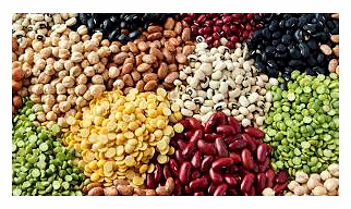 PULSES