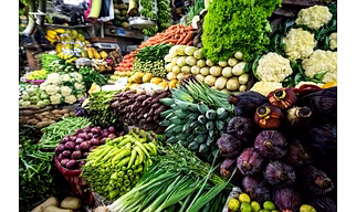 ALL TYPE VEGETABLE,S