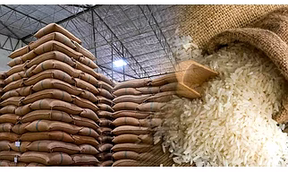 ALL TYPE RICE