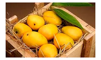 ALL TYPE OF FRUITS