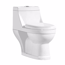 cs2101 - starlet (one piece toilet)