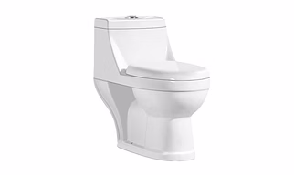 CS2101 - STARLET (One Piece Toilet)