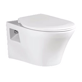 cs2301 - wall hung toilet bowl