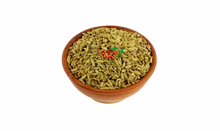 Fennel Seed