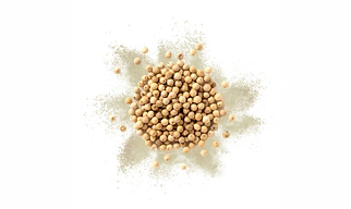 White Pepper