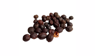 Coffee Robusta