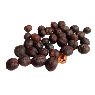 coffee robusta
