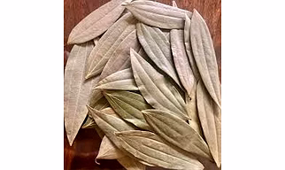 Organic Bay Leaves