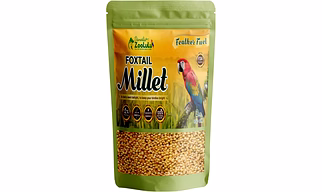 Danodia's Zoolulu Foxtail Millet for Birds (900g/1.9 lb), Natural Daily Bird Seed, Rich in Omega 3, Healthy Grain Feed for Budgies, Finches, Lovebirds, Cockatiels & Small Birds