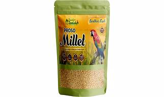 Danodia's Zoolulu Proso Millet for Birds (900g/1.9 lb), Natural Daily Bird Seed, Rich in Omega 3, Healthy Grain Feed for Budgies, Finches, Lovebirds, Cockatiels & Small Birds