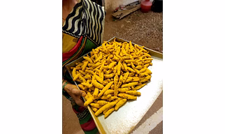 Salem region Grade A turmeric finger double polished for export quality