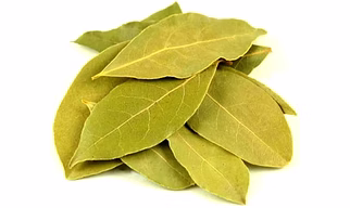 Bay Leaf