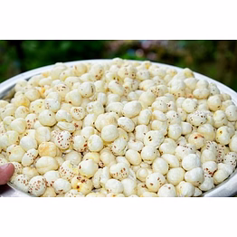 makhana foxnuts